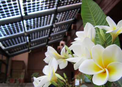 Fresh, fragrant Plumeria flowers from Hawaii bloom in the kitchen greenhouse under the solar panels all summer long and provide an amazing, natural floral scent throughout the whole house.